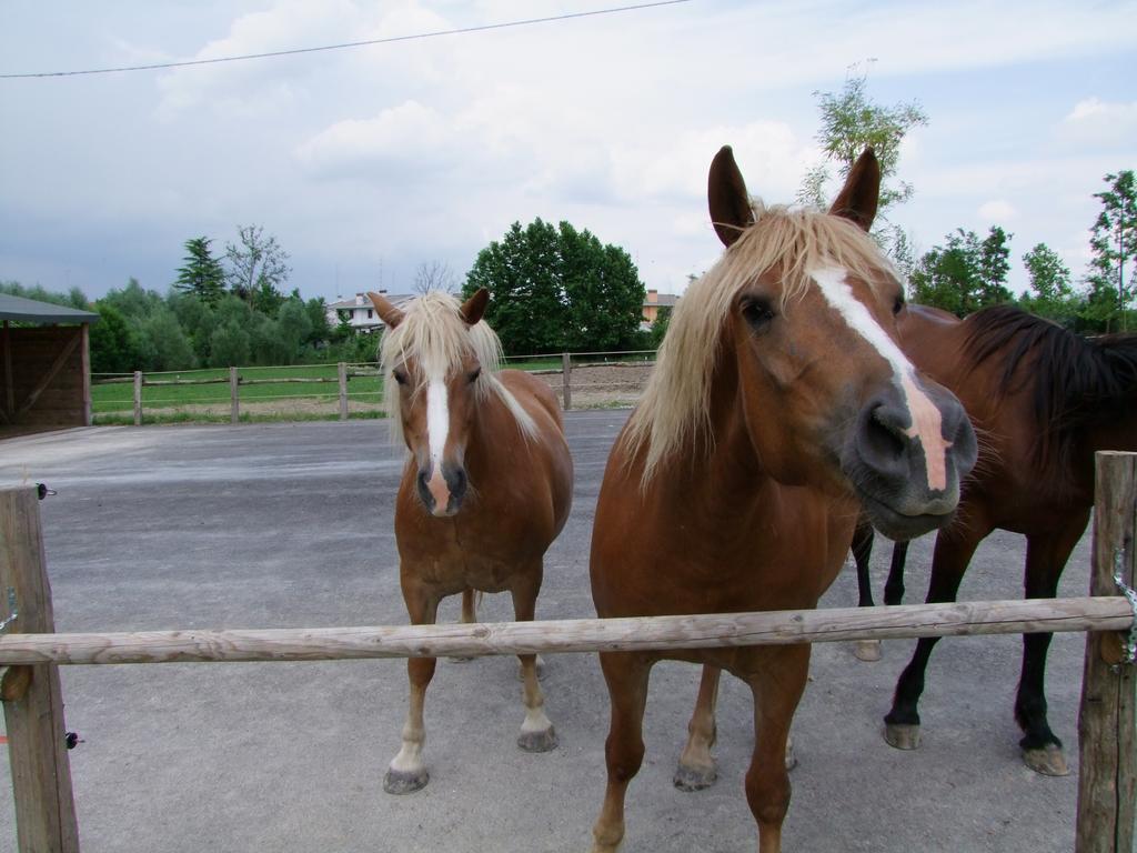 Agriturismo L'Acero Rosso Сачіле Екстер'єр фото